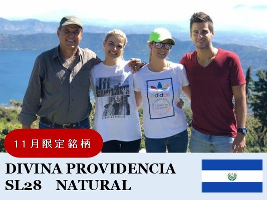 11ۥ륵Хɥ롡ǥӥ ץӥǥ󥷥 ʥ