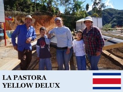 �������ꥫ���ѥ��ȡ������� ���������ǥ�å���