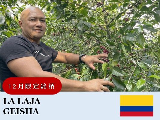 ��12�����ۥ�����ӥ���������� ���������