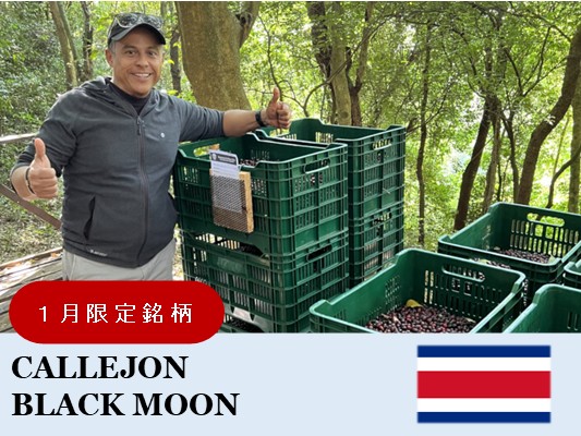 ��1�����ۥ������ꥫ������ۥ����� �֥�å��ࡼ��