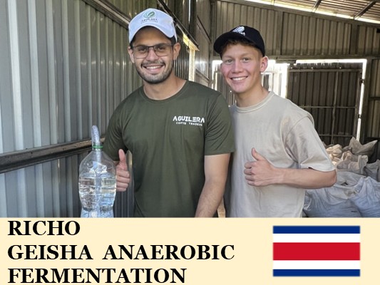 �ڥ��������ۥ������ꥫ�����������  ���ʥ����ӥå��ե������ơ������