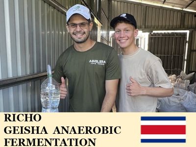 �ڥ��������ۥ������ꥫ�����������  ���ʥ����ӥå��ե������ơ������