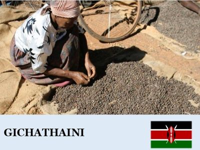 ���˥��������㥿����