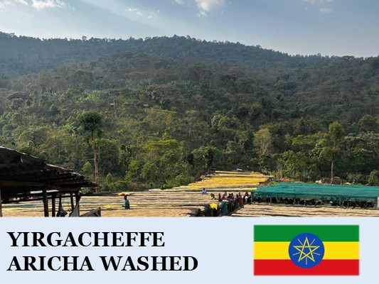 �������ԥ���������� �����å����