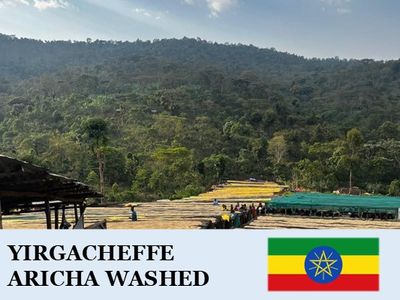 �������ԥ���������� �����å����