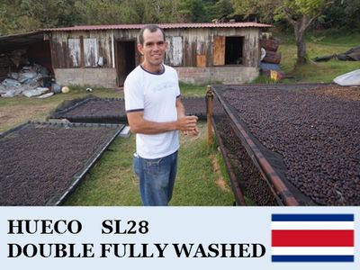 �������ꥫ������������ SL28�� ���֥�ե꡼�����å����