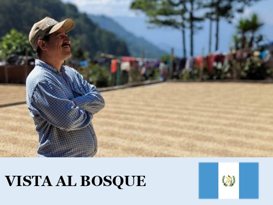 �����ƥޥ顡�ӥ��� ���� �ܥ�������