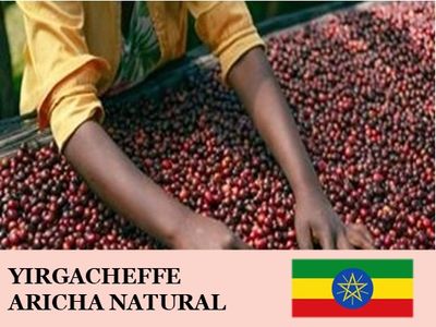 �������ԥ� ������� �ʥ�����