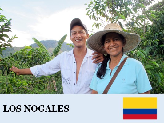 ������ӥ����Υ��쥹����