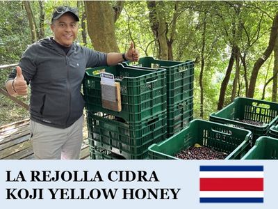 �������ꥫ����ۡ��������� ���ɥ�� �����������ϥˡ�