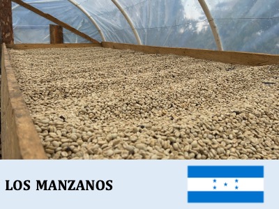 �ۥ󥸥�饹���ޥ󥵥Υ�����