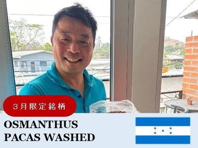 �ڣ������ۥۥ󥸥�饹 �����ޥ󥵥����� �ѥ����� �����å����