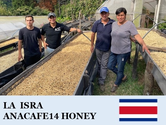 �������ꥫ������������ ���ʥ��ե�14�� �ϥˡ�