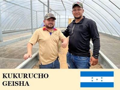 �ڥ��������ۥۥ󥸥�饹���������������