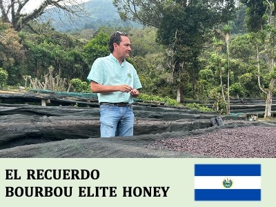 ���륵��Хɥ롡�쥯��������� �֥�ܥ� ����Ƽ� �ϥˡ�