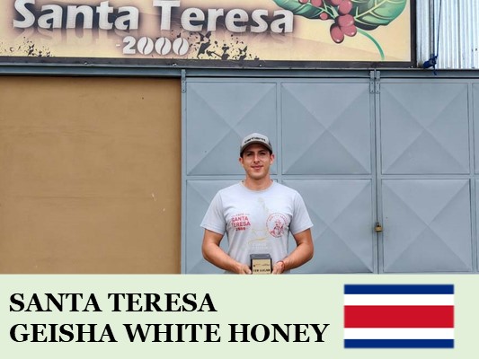 �ڥ��������ۥ������ꥫ������ �ƥ쥵����  �ۥ磻�ȥϥˡ�