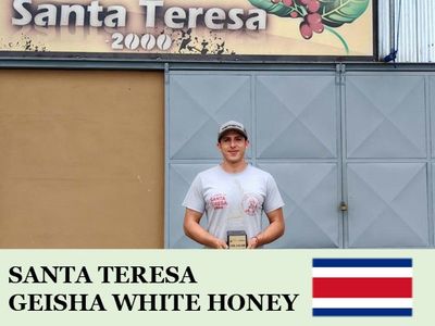 �ڥ��������ۥ������ꥫ������ �ƥ쥵����  �ۥ磻�ȥϥˡ�