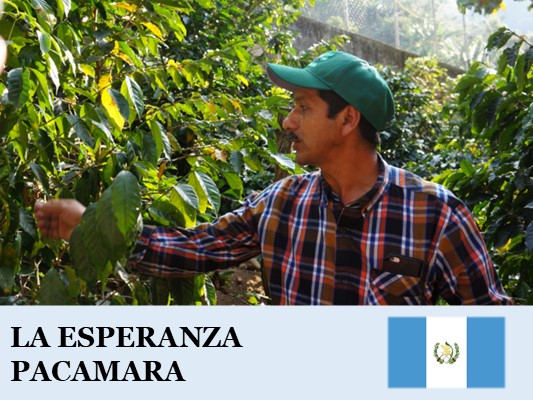 �����ƥޥ顡�����ڥ������ �ѥ��ޥ��