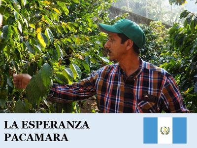 �����ƥޥ顡�����ڥ������ �ѥ��ޥ��