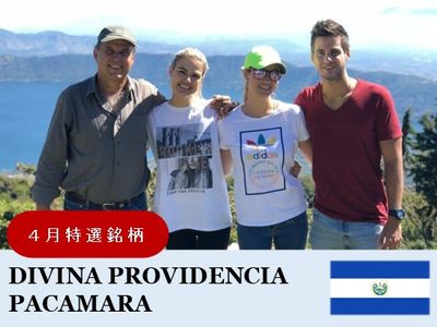 �ڣ��������ۥ��륵��Хɥ롡�ǥ��ӥ� �ץ��ӥǥ󥷥����� �ѥ��ޥ��