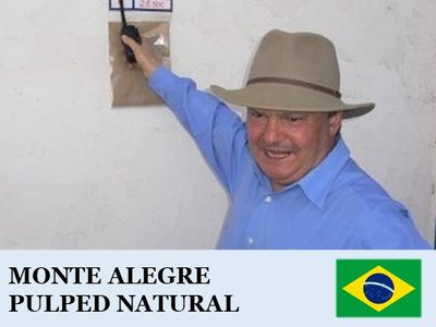 �֥饸�롡���� ���쥰������