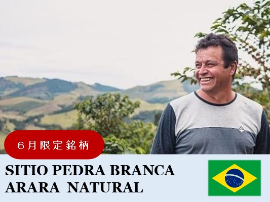 �ڣ��������ۥ֥饸�롡�ڥɥ� �֥������ �ʥ�����