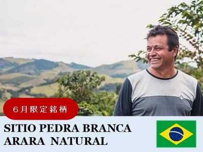 �ڣ��������ۥ֥饸�롡�ڥɥ� �֥������ �ʥ�����