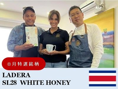 �ڣ��������ۥ������ꥫ����ǥ����� SL28�� �ۥ磻�ȥϥˡ�