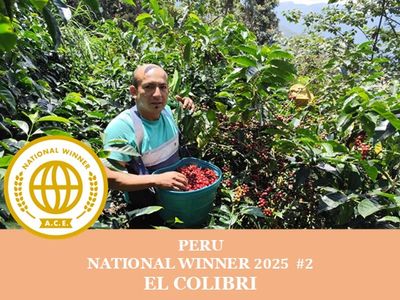 �ڥ��������ۥڥ롼 National Winner #2 ����֥�����