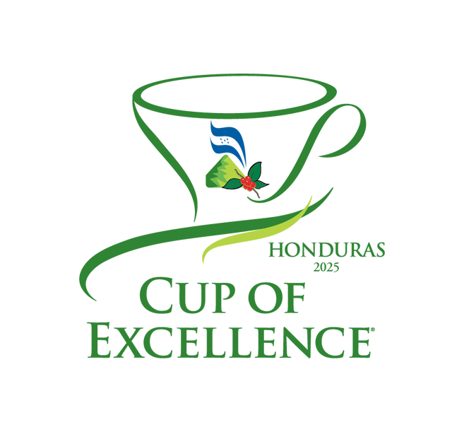 �ڥɥ�åץ��ե���COE 2025 Selection