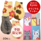 ڵǭ󤯤ä 10ʽĹBOX