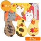 㽩ڵǭ󤯤ä 6(ĹBOX)