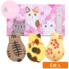 ��ո����ڵ���ǭ���󤯤ä������ա� 6����(��ĹBOX)