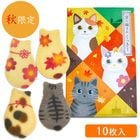 㽩ڵǭ󤯤ä 10(ĹBOX)