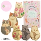 ��ո�����neconecone �ա� ǭ���å���10����(��Ĺ�ԥ�BOX)