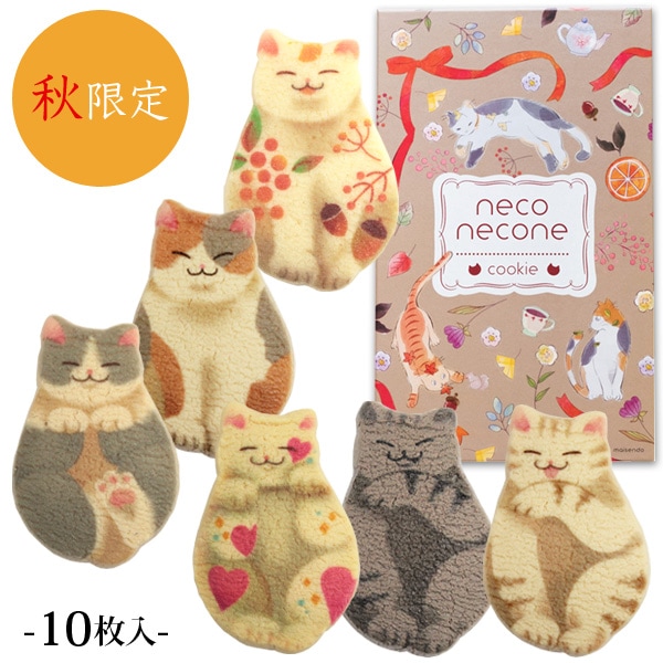 㽩neconecone  ǭǥ󥯥å10(ĹBOX)