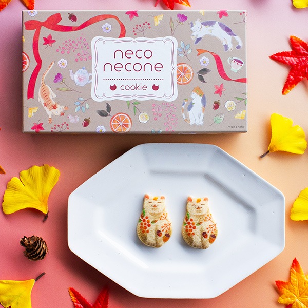 㽩neconecone  ǭǥ󥯥å6(ĹBOX)