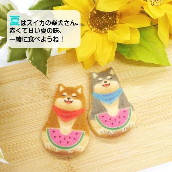 ڵμƸä 6ơơ᡼ץ̣