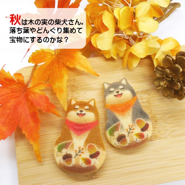 ڵμƸä 6ơơ᡼ץ̣