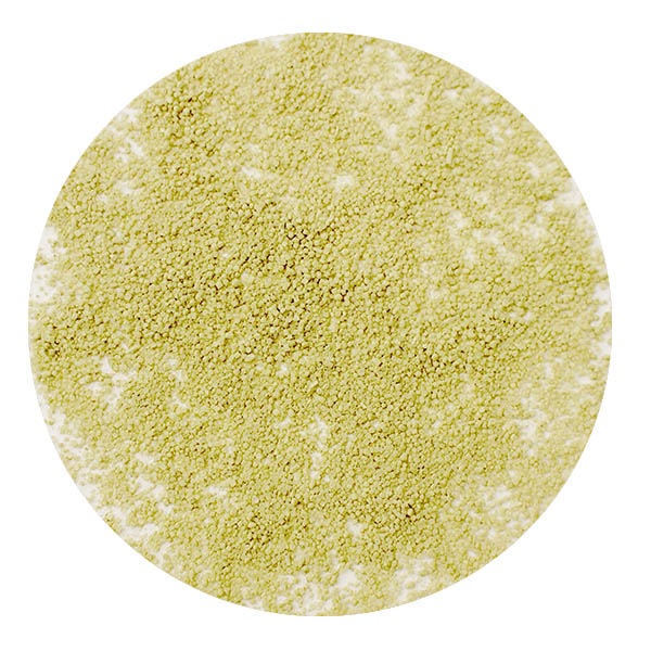 ���������ۤ���������������������