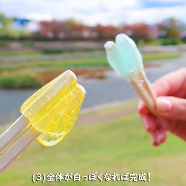 �Ȥ��ˤ�󡡡ڤߤ���ʤͤ갻�ˡ�