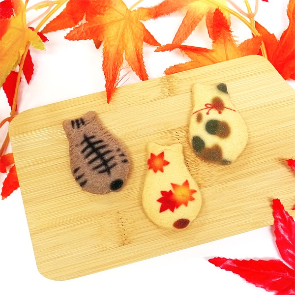 㽩ڵǭ󤯤ä 6(ĹBOX)