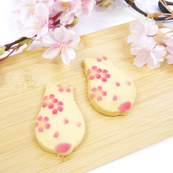 ��ո����ڵ���ǭ���󤯤ä������ա� 6����(��ĹBOX)