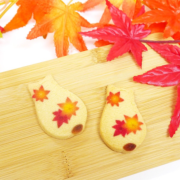 㽩ڵǭ󤯤ä 10(ĹBOX)