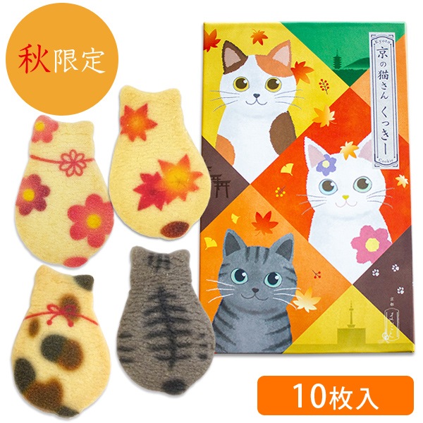 㽩ڵǭ󤯤ä 10(ĹBOX)