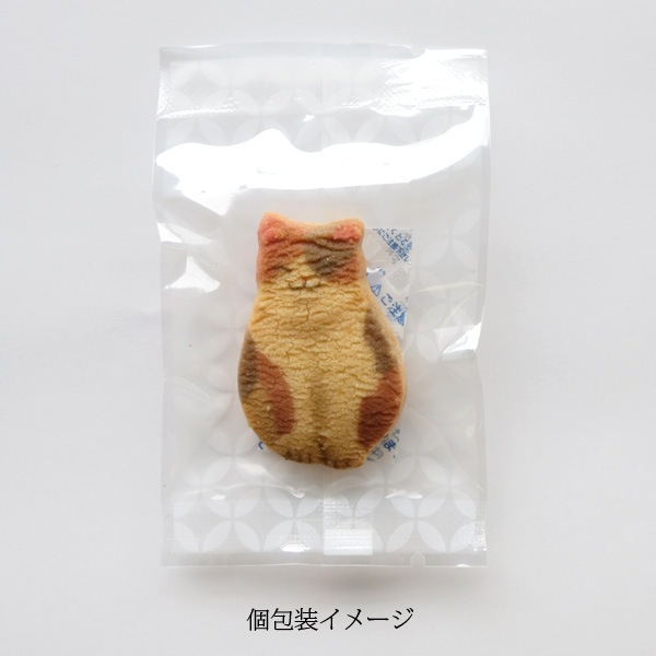 ��Ƹ�����neconecone �ơ� ǭ���å���6����(��Ĺ�ޥ��BOX)