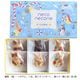 ��Ƹ�����neconecone �ơ� ǭ���å���6����(��Ĺ�ޥ��BOX)