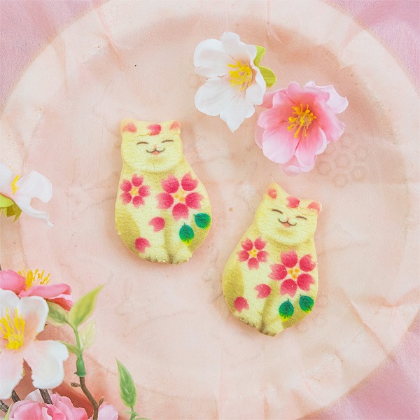 ��ո�����neconecone �ա� ǭ���å���6����(��Ĺ�ԥ�BOX)