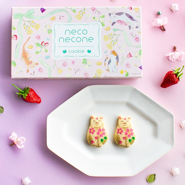 ��ո�����neconecone �ա� ǭ���å���6����(��Ĺ�ԥ�BOX)