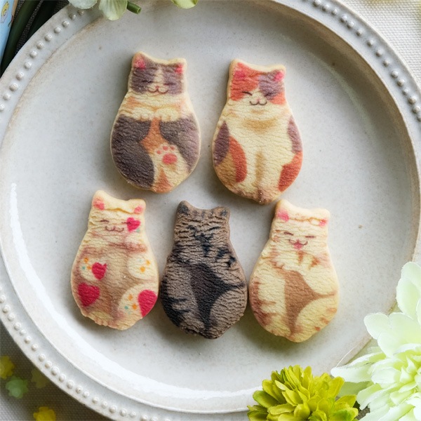 ��ո�����neconecone �ա� ǭ���å���10����(��Ĺ�ԥ�BOX)